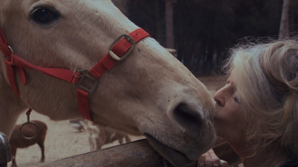 Bardot