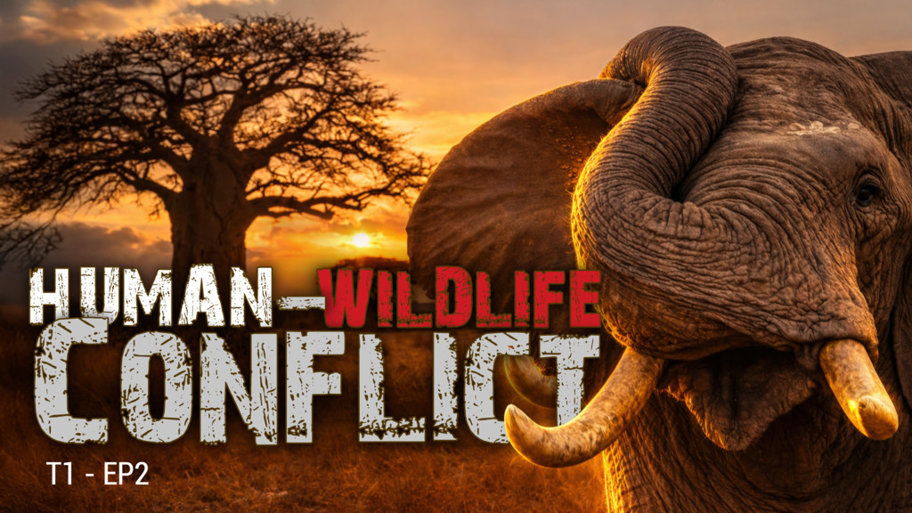 Human &amp; Wildlife Conflict Ep2 Cuando la naturaleza se desborda