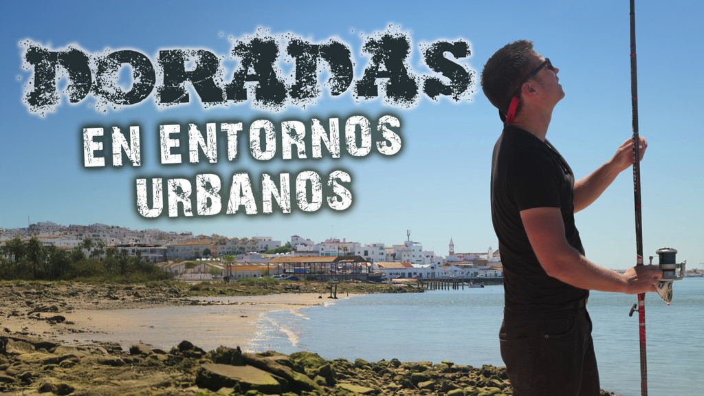 Doradas en entornos urbanos