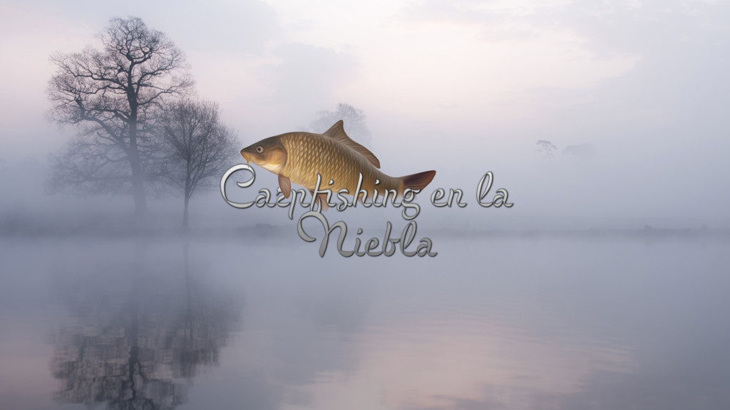 Carpfishing En La Niebla