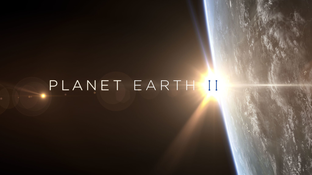 Planeta Tierra