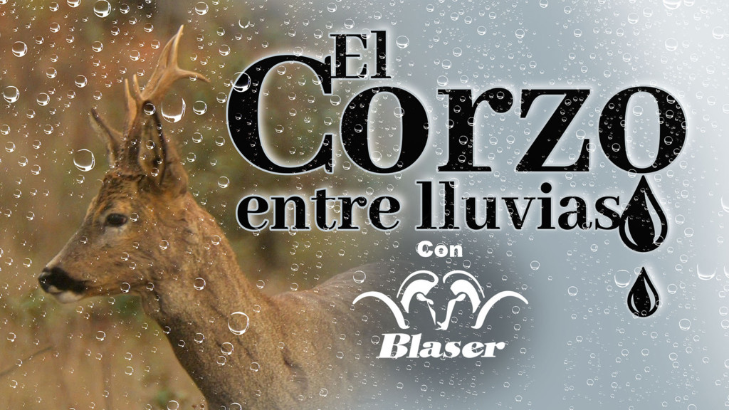 La apertura del corzo con Blaser
