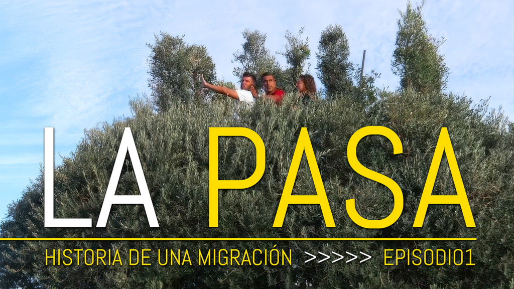 La pasa del zorzal, historia de una migración