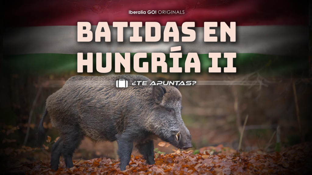 Batidas En Hungria II