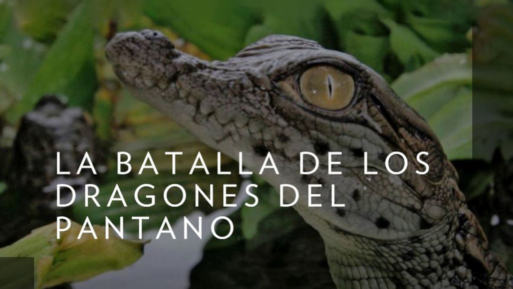 La batalla de los dragones del pantano