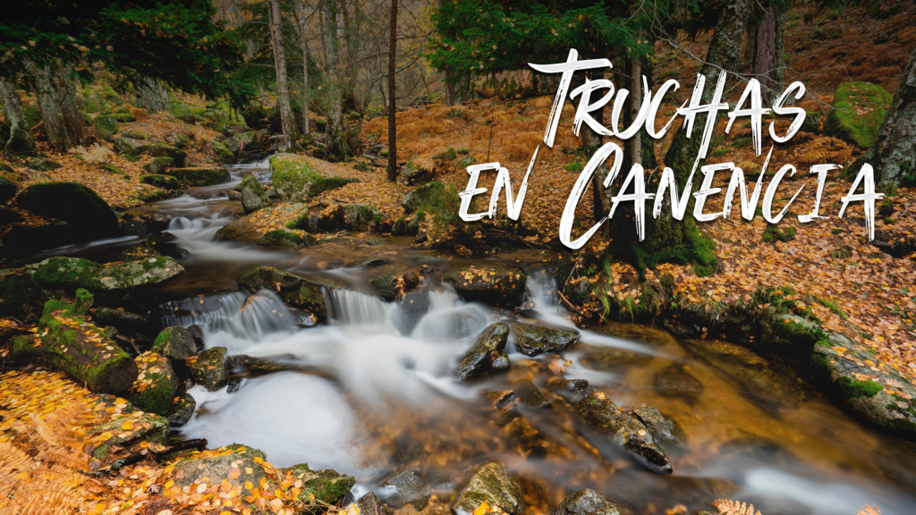De truchas en canencia