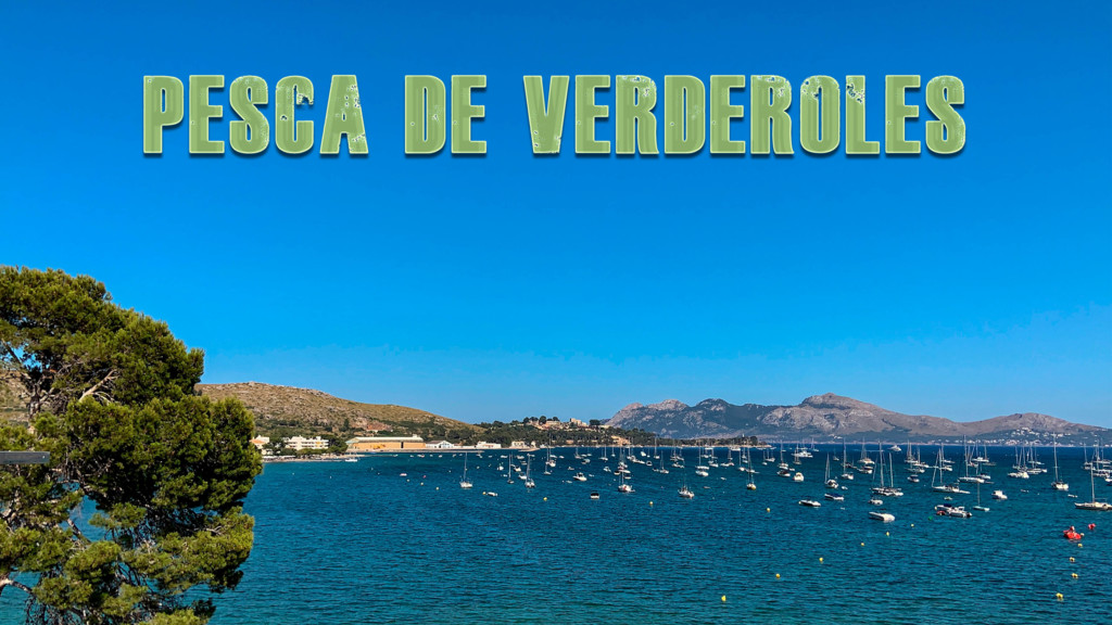 Pesca de verderoles en el port de Pollença