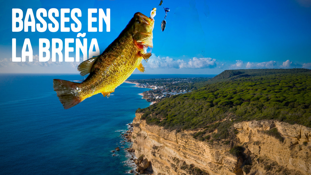 Basses En La Breña