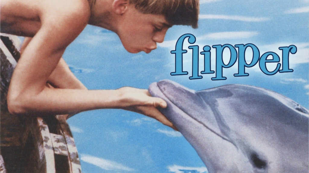 Mi amigo Flipper