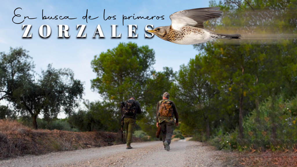 En Busca De Los Primeros Zorzales