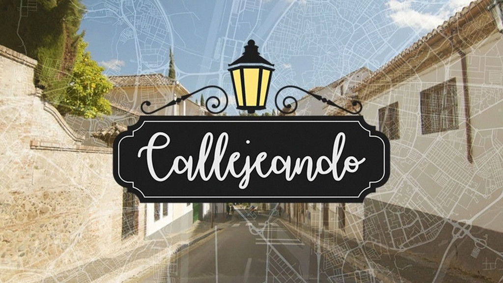 Callejeando