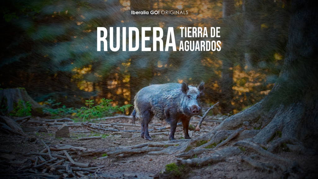 Ruidera tierra de aguardos