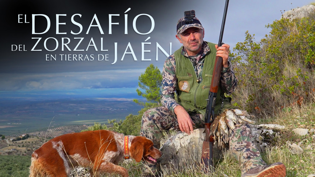 El desafío del zorzal en tierras de Jaén