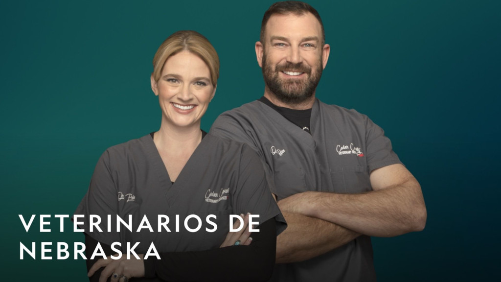 Veterinarios de Nebraska