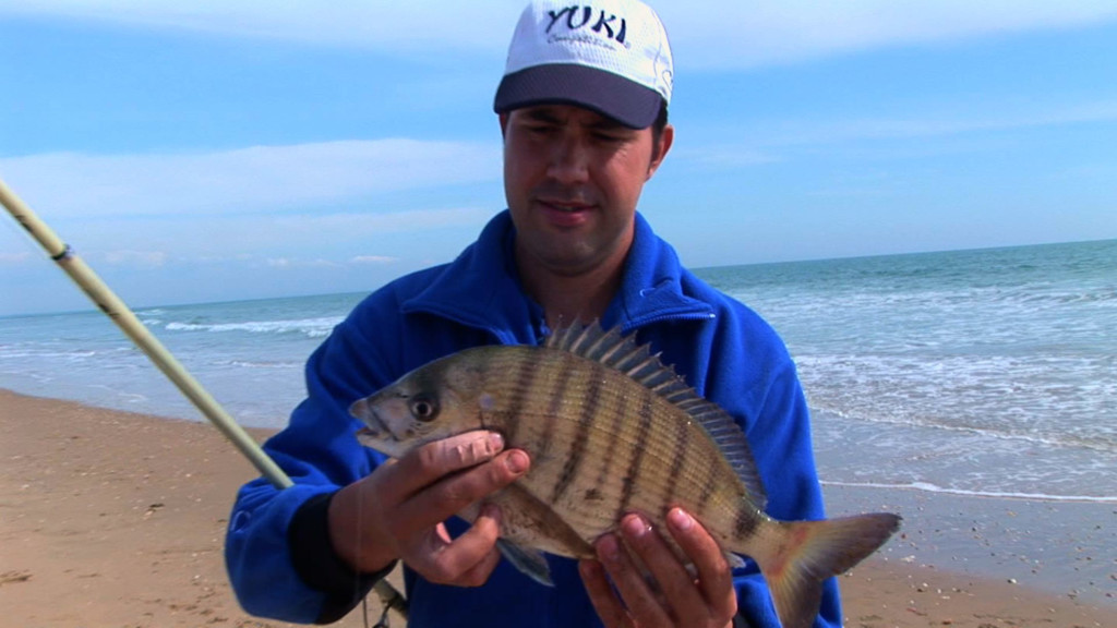 Spinning Y Surfcasting En El Rompido