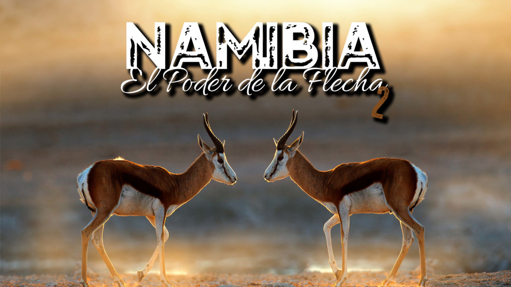 Caza con arco en Namibia con De Onís Safaris