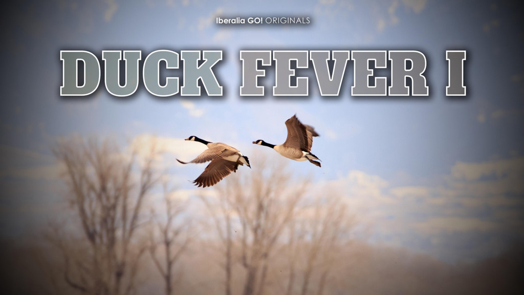 Duck Fever I
