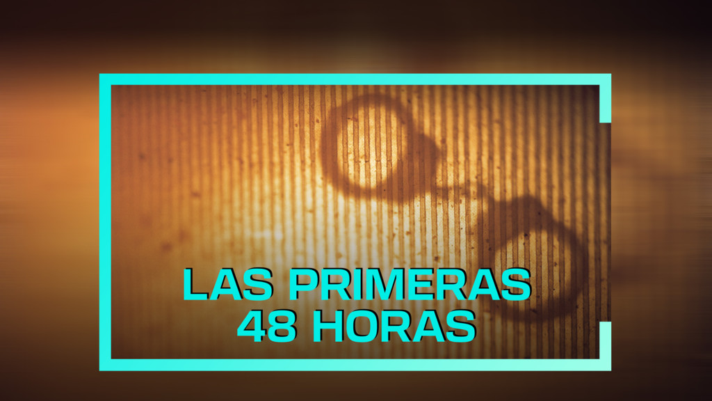 Las primeras 48 horas