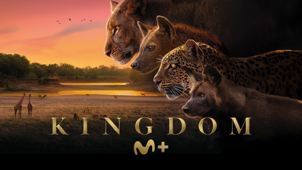 Kingdom