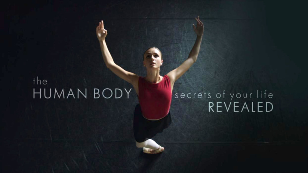 Los secretos del cuerpo humano