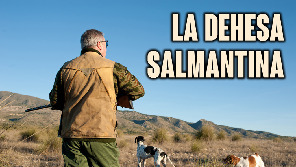 La Dehesa Salmantina