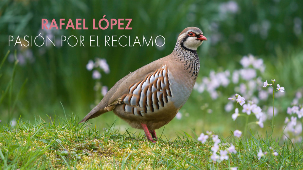 Rafael López, devoción por el reclamo