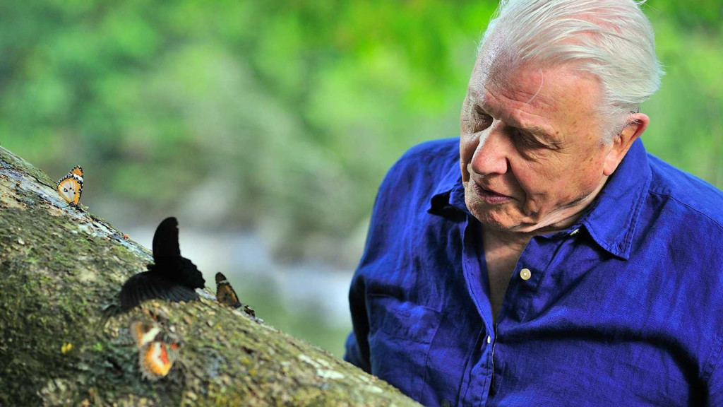 La conquista de los cielos de David Attenborough