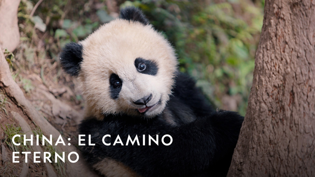 China: El camino eterno