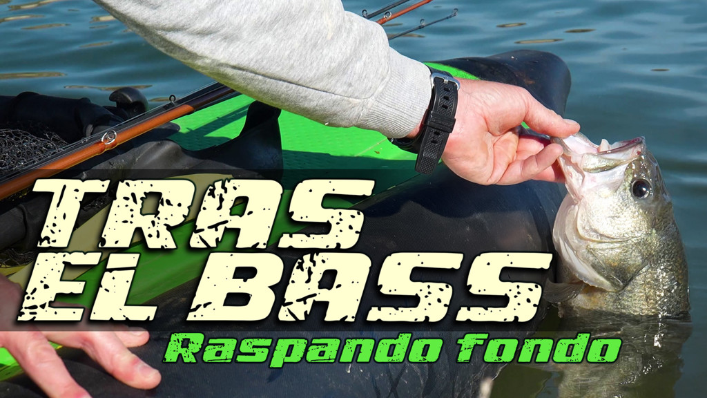 Tras el bass, raspando fondo
