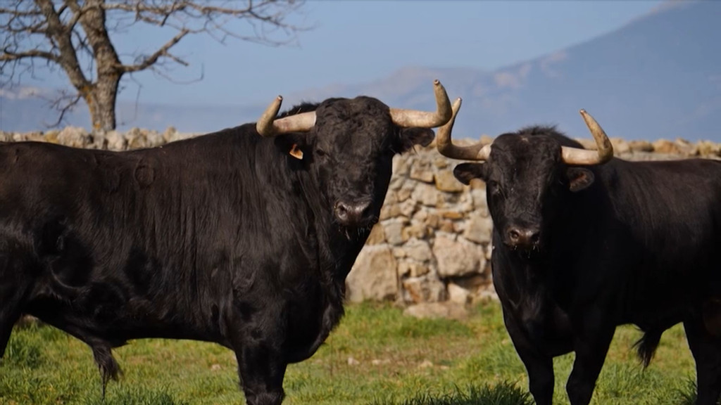 Ganaderías Madrileñas