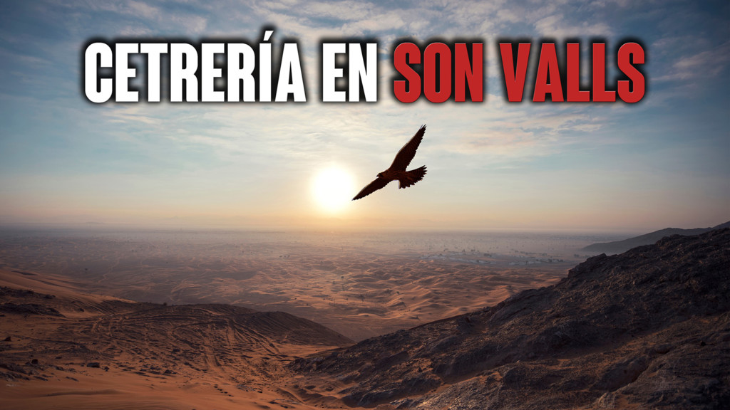 Cetrería En Son Valls