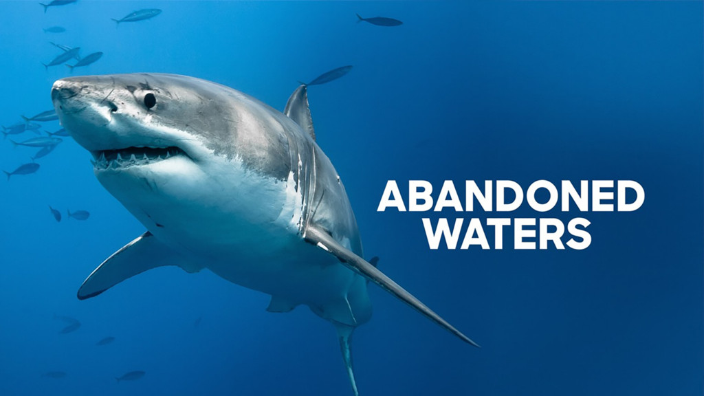 Abandoned Waters