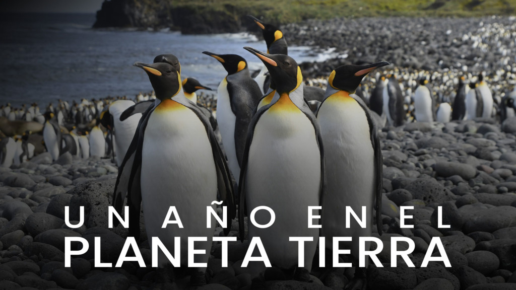 Un año en el planeta Tierra