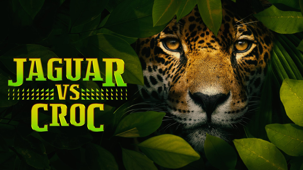 Jaguar contra cocodrilo