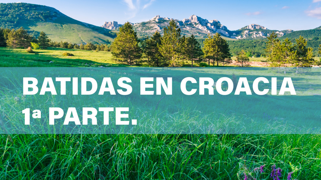 Batidas en Croacia I
