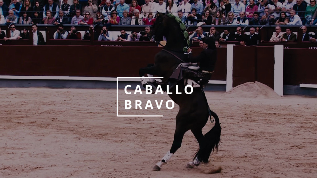 Andy Cartagena. Caballo Bravo