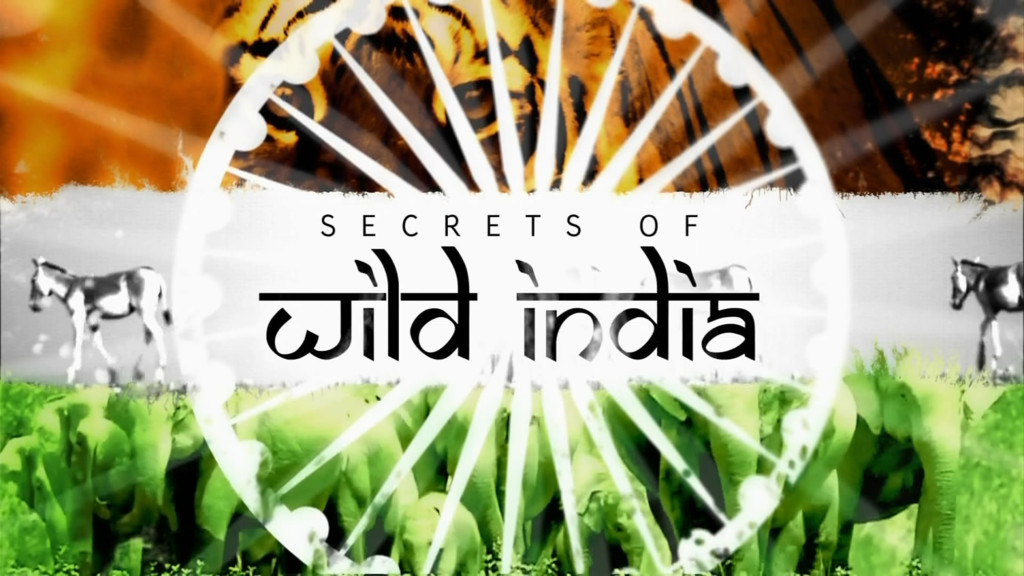 Los secretos de la India salvaje