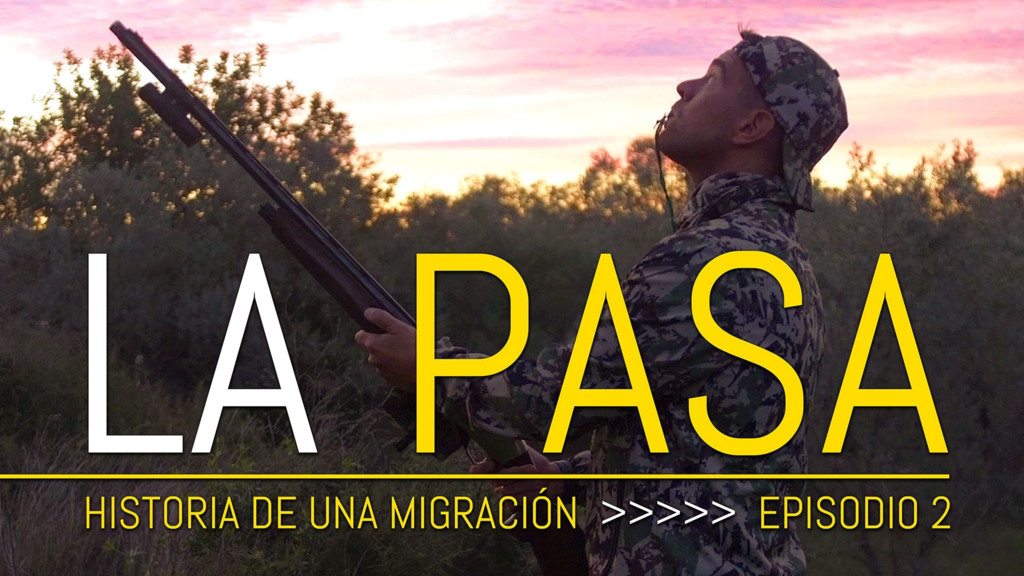 La pasa del zorzal, historia de una migración II