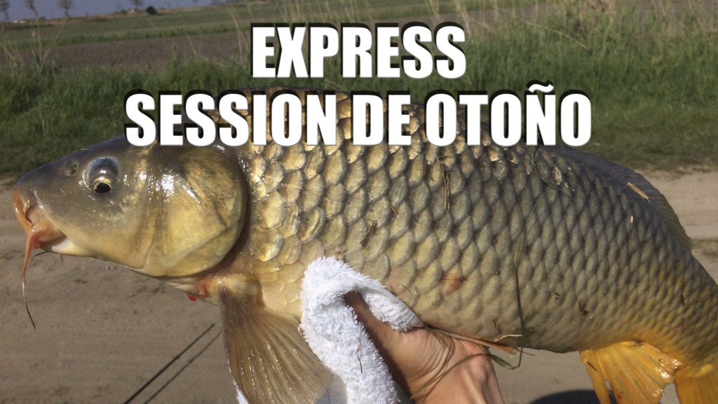 Sesión Express En Otoño