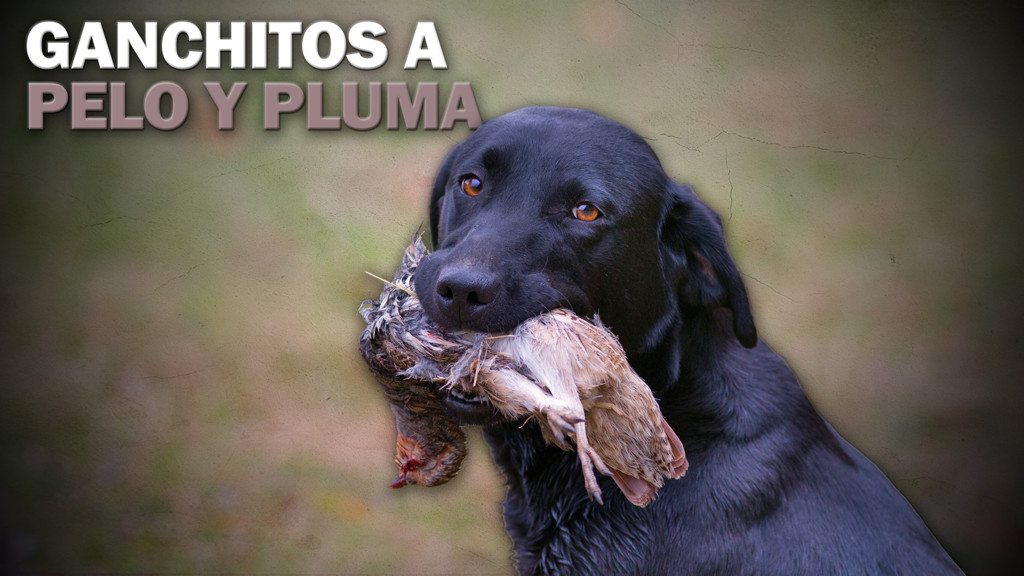 Ganchitos a pelo y pluma