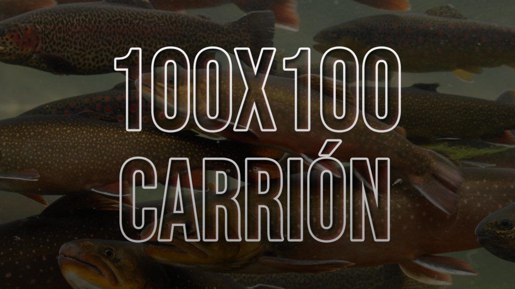 100x100 Carrion