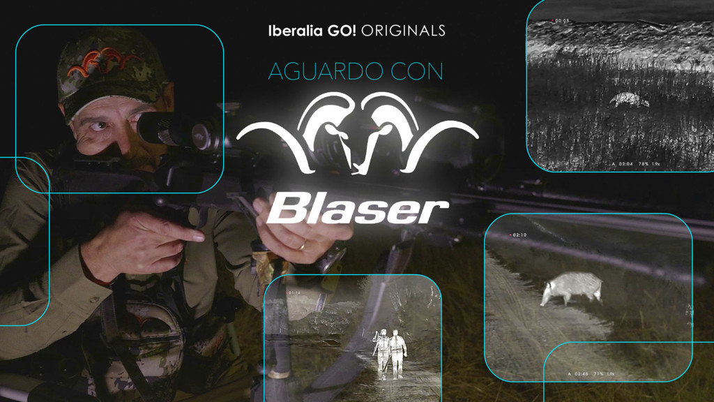 Aguardo con blaser