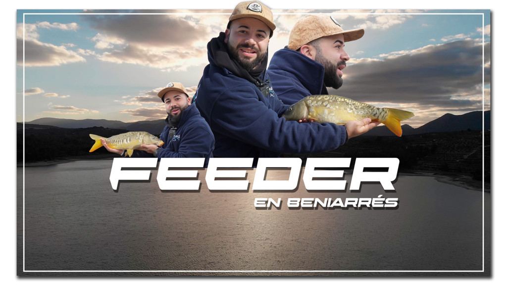Feeder En Beniarrés