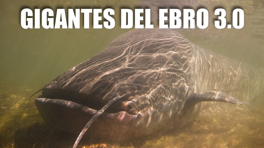Gigantes Del Ebro 3.0