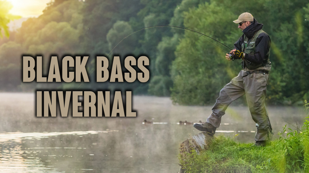 Black Bass Invernal