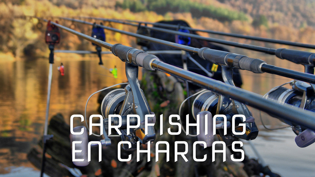 Carpfishing En Charcas