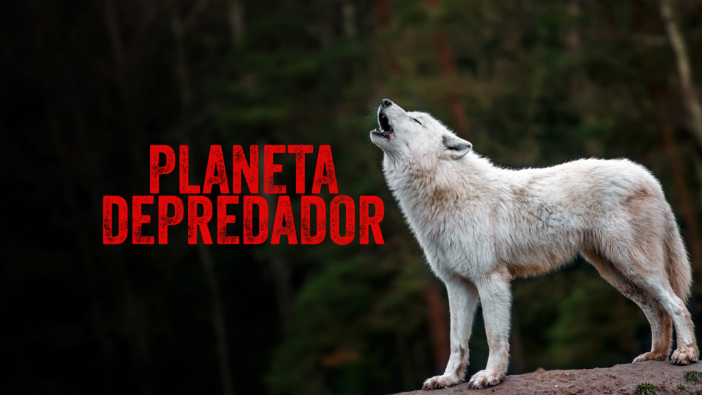 Planeta depredador