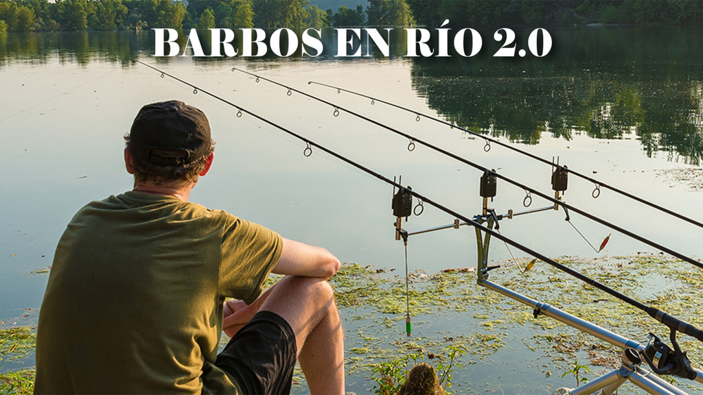 Barbos de río 2.0
