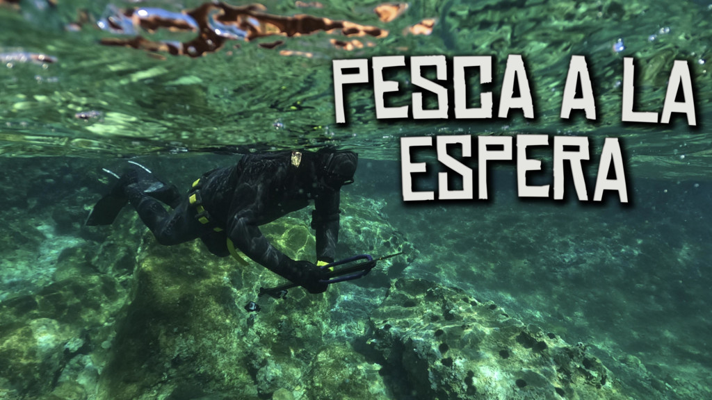 Pesca A La Espera
