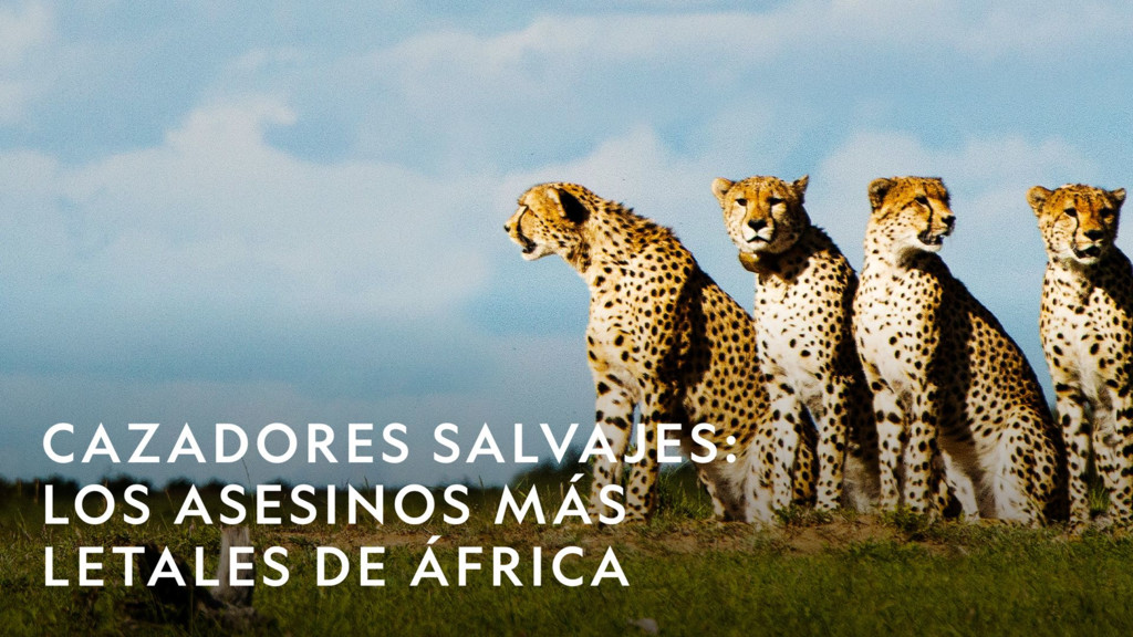 Cazadores salvajes